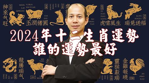 屬龍特質|十二生肖運勢解析｜12生肖全面性格分